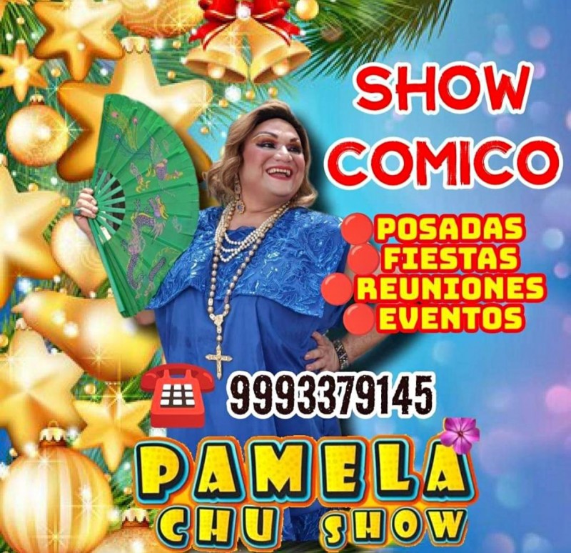 Show cómico regional y musical