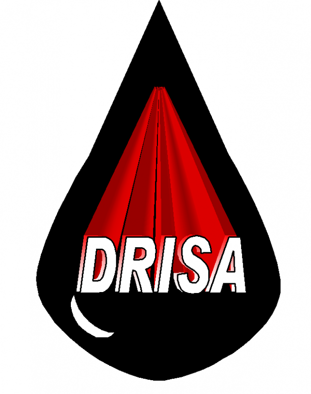 DRISA Distribuidora Regional Industrial SA de CV